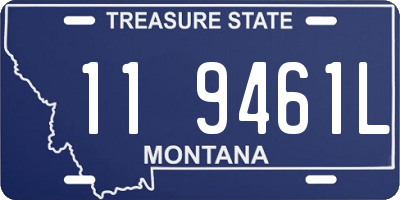 MT license plate 119461L