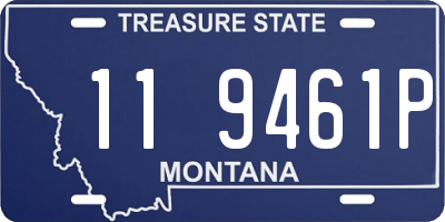 MT license plate 119461P