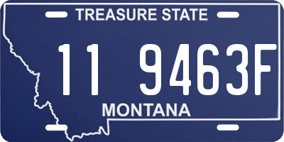 MT license plate 119463F