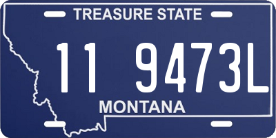 MT license plate 119473L