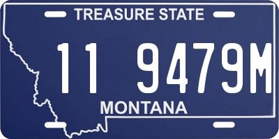 MT license plate 119479M