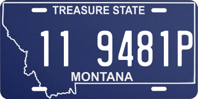 MT license plate 119481P