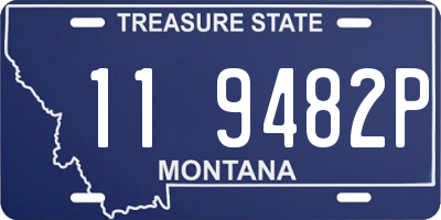MT license plate 119482P