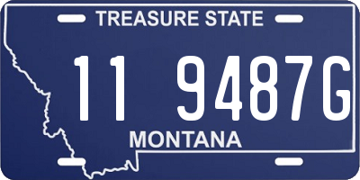 MT license plate 119487G