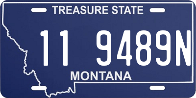 MT license plate 119489N
