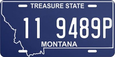 MT license plate 119489P