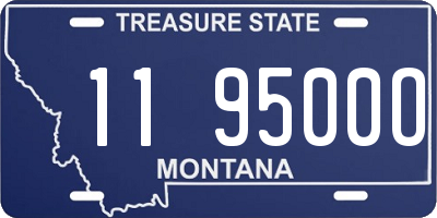 MT license plate 119500O