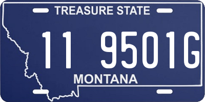 MT license plate 119501G
