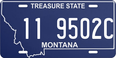 MT license plate 119502C