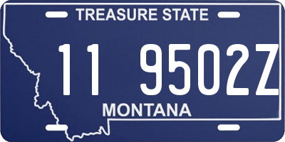 MT license plate 119502Z