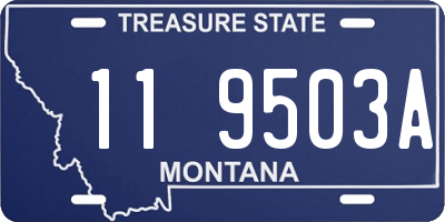 MT license plate 119503A