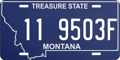 MT license plate 119503F