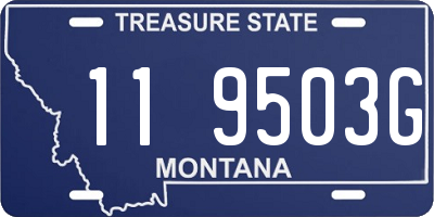 MT license plate 119503G