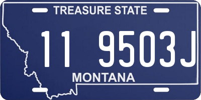 MT license plate 119503J