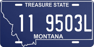 MT license plate 119503L