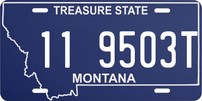 MT license plate 119503T