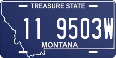 MT license plate 119503W