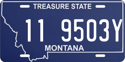 MT license plate 119503Y