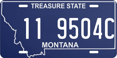 MT license plate 119504C