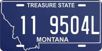 MT license plate 119504L