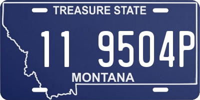 MT license plate 119504P