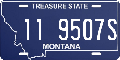 MT license plate 119507S