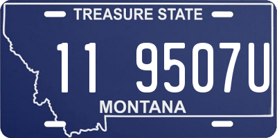 MT license plate 119507U