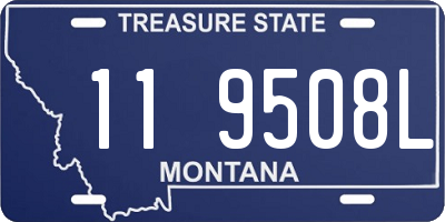 MT license plate 119508L