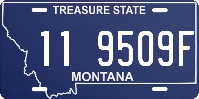 MT license plate 119509F