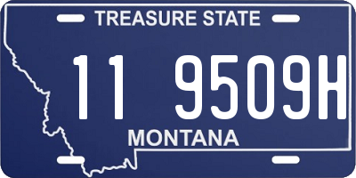 MT license plate 119509H