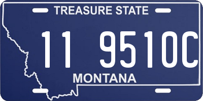 MT license plate 119510C