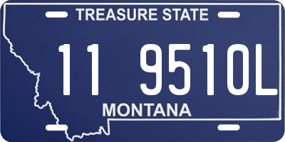 MT license plate 119510L