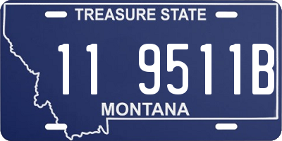 MT license plate 119511B
