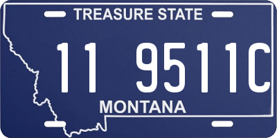 MT license plate 119511C