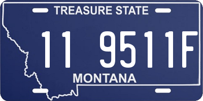 MT license plate 119511F