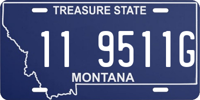 MT license plate 119511G