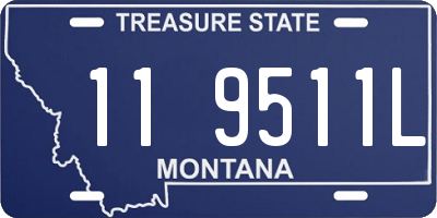 MT license plate 119511L