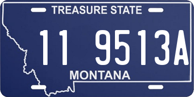 MT license plate 119513A