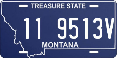 MT license plate 119513V