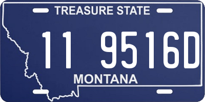 MT license plate 119516D