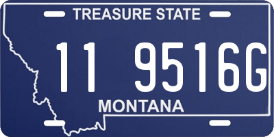 MT license plate 119516G