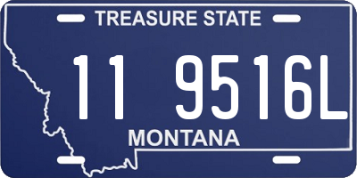 MT license plate 119516L