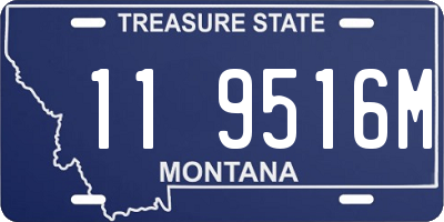 MT license plate 119516M