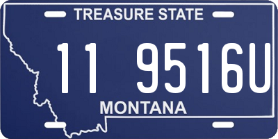 MT license plate 119516U