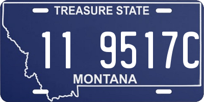 MT license plate 119517C