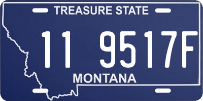 MT license plate 119517F