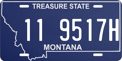 MT license plate 119517H