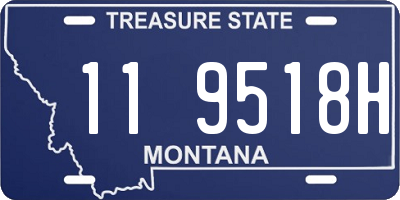 MT license plate 119518H