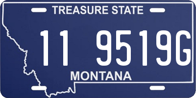 MT license plate 119519G