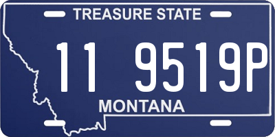 MT license plate 119519P